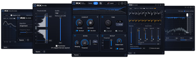 iZotope RX 12 Elements EDU