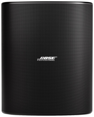 Bose Professional DesignMax DM12SE black