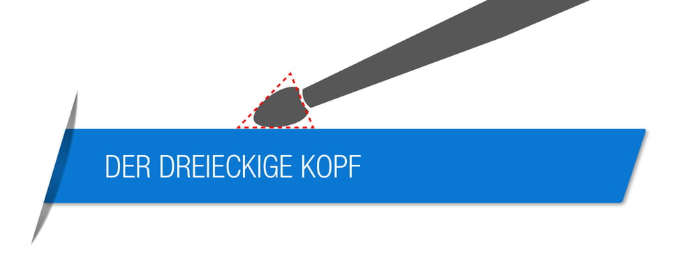 Der dreieckige Kopf Der dreieckige Kopf