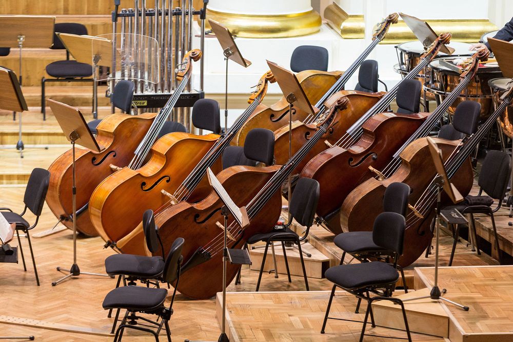 Der Kontrabass im Orchester