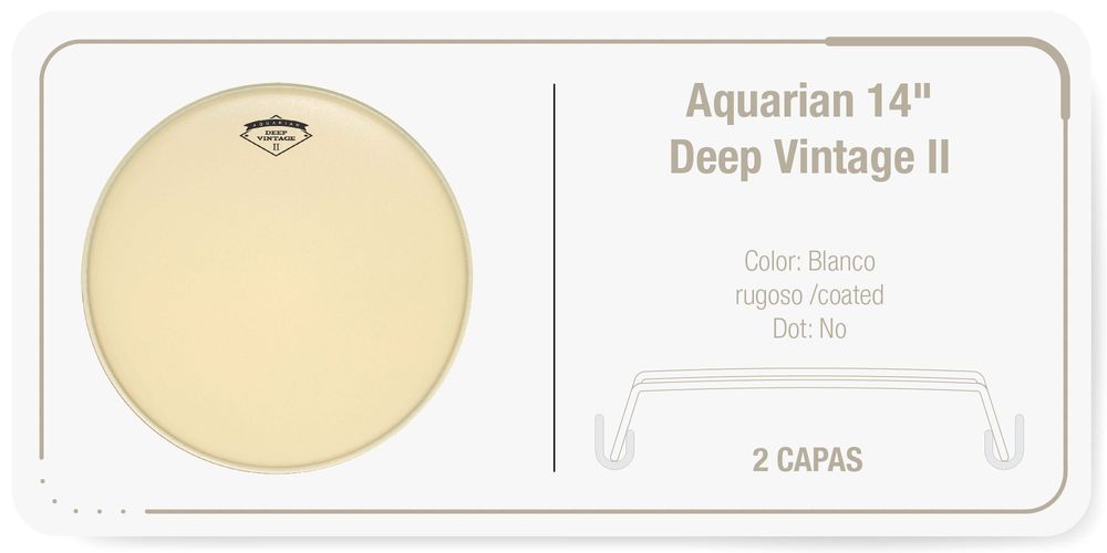 Aquarian 14