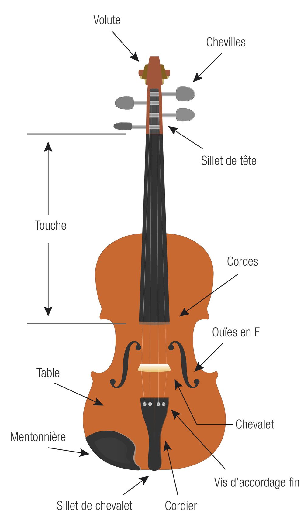 4 conseils pour entretenir votre violon et votre violoncelle