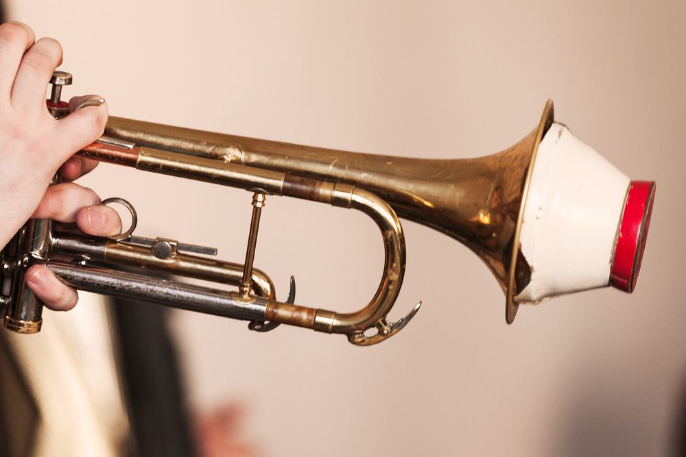 Denis Wick Sourdine trompette droite aluminium fond laiton