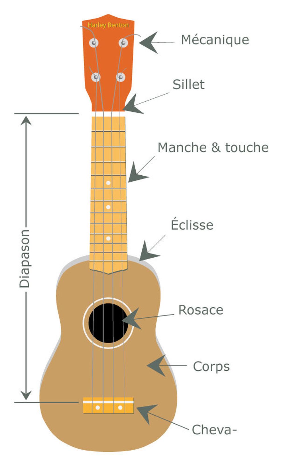 Anatomie d'un ukulélé