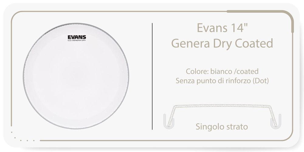 Evans 14