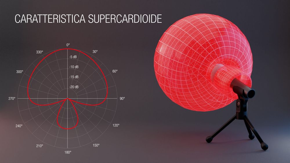 Supernieren-Charakteristik