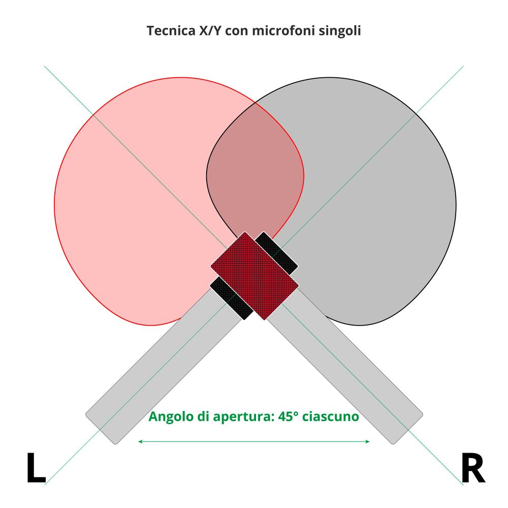 Tecnica X/Y 1