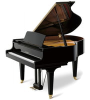 Pianos de cauda