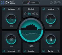 Inklusive iZotope RX 10 Elements