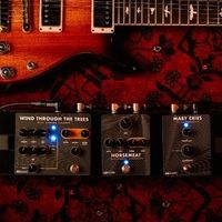 Buy a PRS Amp and get a free PRS Pedal