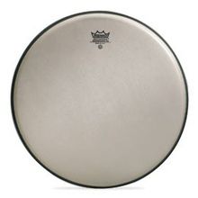 Remo 14" Renaissance Ambassador