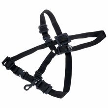 BG S42SH Strap Children