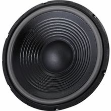 the box 12" Speaker for TT305-H