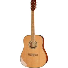 Harley Benton D-120NT