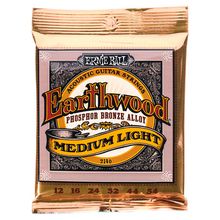 Ernie Ball 2146 Earthwood Phosphor Bronze