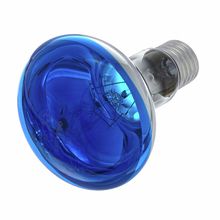 Omnilux R80 Lamp E27 Blue