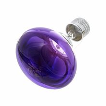 Omnilux R80 Lamp E27 Violet