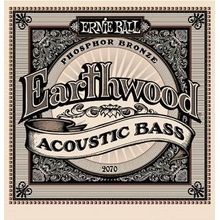 Ernie Ball 2070 Earthwood