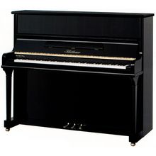 Blüthner Model A