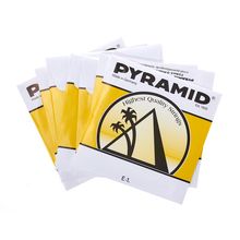 Pyramid 7String Classical Guitar Set
