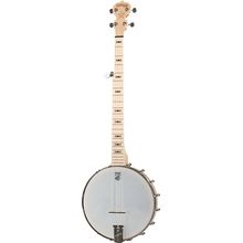 Deering Goodtime Banjo