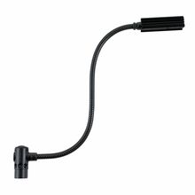 Littlite 12 XR 4 HI