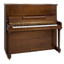 Blüthner Model B