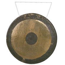 Asian Sound Tamtam T-100 P