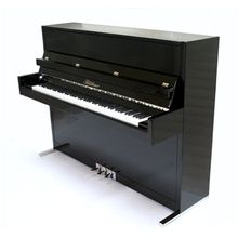 Blüthner Model D