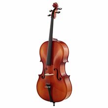 Roth & Junius Europe 4/4 Student Cello Set