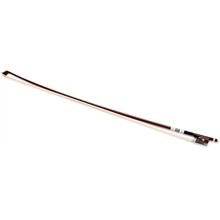 Roth & Junius RJSW-01S Snakewood Viola Bow