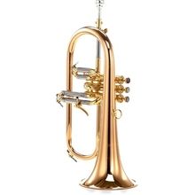 Carol Brass CFL-6200-GSS-Bb-L