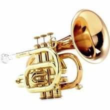 Carol Brass CPT-3000-GLS-Bb-L
