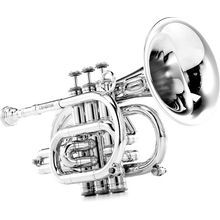 Carol Brass CPT-3000-GLS-Bb-S