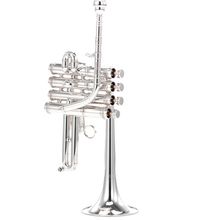 Carol Brass CPC-3335-YLS-Bb/A-S