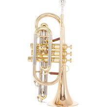 Carol Brass CCR-6882T-GSS-L
