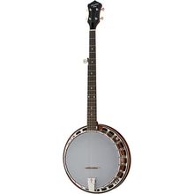 Recording King Dirty 30s Resonator Banjo