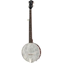 Recording King Dirty 30s Open Back Banjo