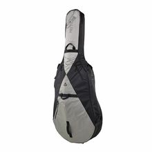 Ritter RSP5 Double Bass 1/2 BSG