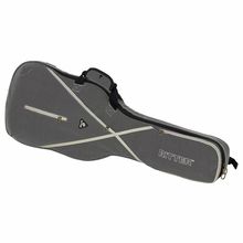 Ritter RGS7 Electric Guitar SGL