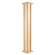 Meinl PRORM1NT Pro Rainmaker