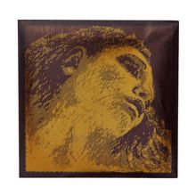 Pirastro Evah Pirazzi Gold E Violin LP