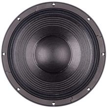 B&C 12 PS 100 B-Stock