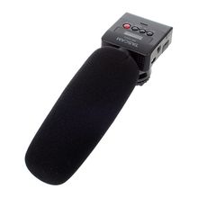 Tascam DR-10 SG