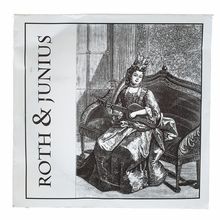 Roth & Junius Lever Harp String No. 24/34