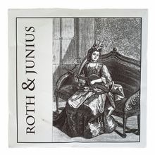 Roth & Junius Lever Harp String No. 25/34
