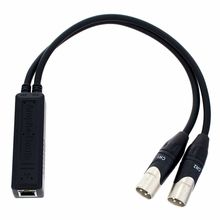 Amphenol Amphe-Dante Dual Output