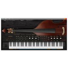 Ample Sound Ample Bass Upright III