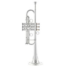 Carol Brass CTR-6580H-GLS(D)-C-S