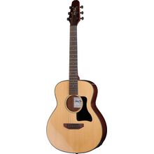 Harley Benton GS-Travel-E Spruce